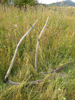 Two scythes