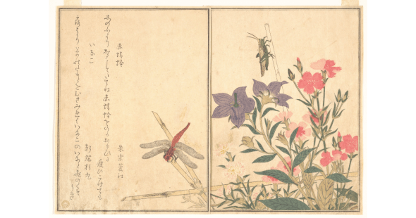 ZP_Utamaro_Aka tonbo, Inago_Red dragonfly and Locust