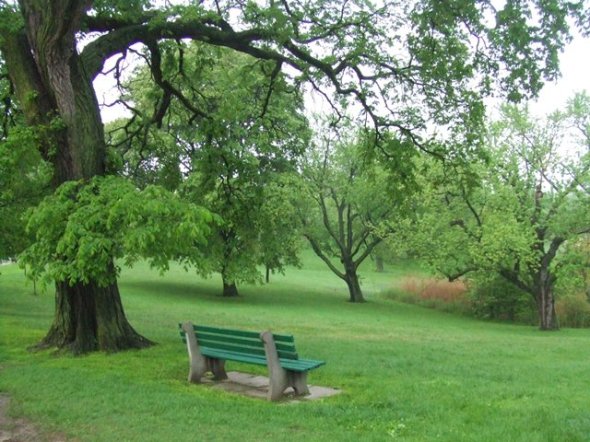 ZP_Tha an saoghal fhathast àlainn, ged nach eil thu ann_The world is still beautiful, though you are not in it. Verse from a Gaelic poem, an elegy for his brother, by Sorley Maclean