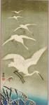 ZP_Five Egrets Descending in Snow_Japanese woodblock print by Ohara&nbsp;Koson,1878-1945