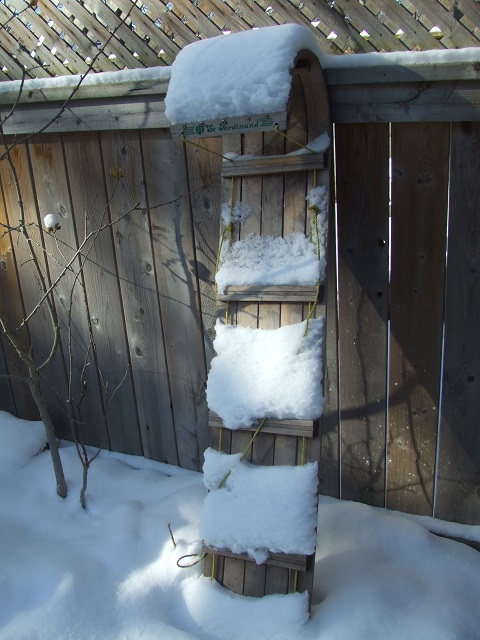 What to do on the coldest day in February?  Go tobogganing, of course!
