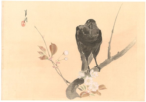 ZP_Cherry Blossom and Crow by Ogata Gekko, 1859 - 1920_print courtesy of ogatagekkodotnet