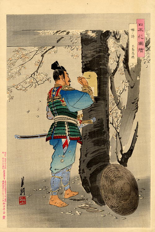 ZP_Samurai writing a poem on a flowering cherry-tree trunk_print by Ogata Gekko 1859-1920 courtesy of ogatagekkodotnet