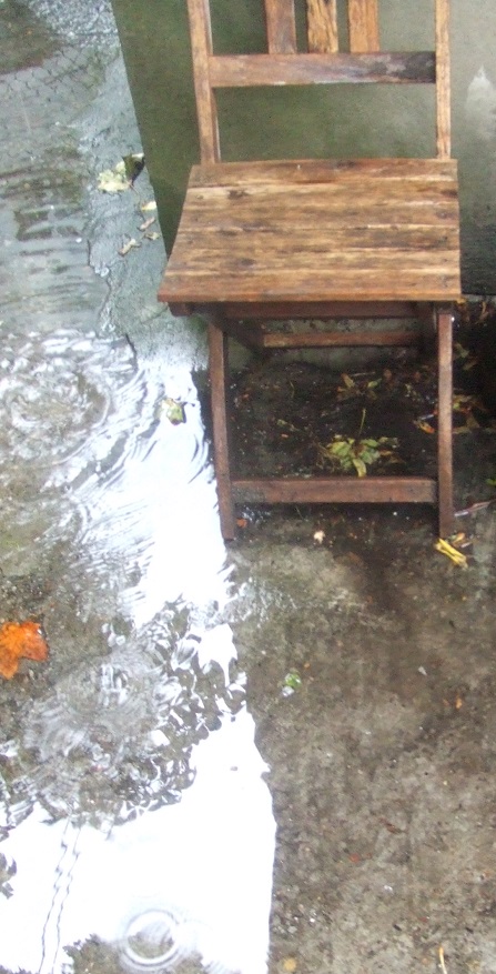 ZP_Jaime Sabines_ I take pleasure in the way the rain beats its wings on the back of the floating city...