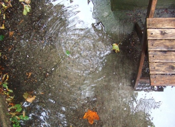 ZP_Jaime Sabines_Me gustan los aletazos de la lluvia sobre los lomos de la ciudad flotante...