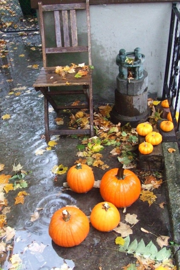 ZP_Tallando calabazas en Toronto 1