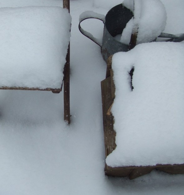 Snowfall_Toronto Canada_December 14th 2013_C