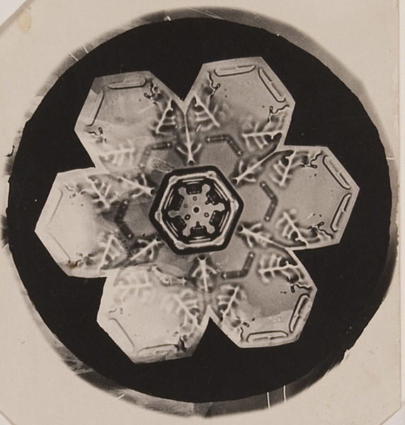 Wilson Alwyn Bentley_Snowflake circa 1905