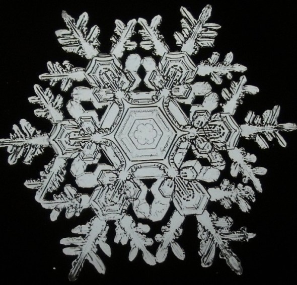 Wilson Alwyn Bentley_Snowflake