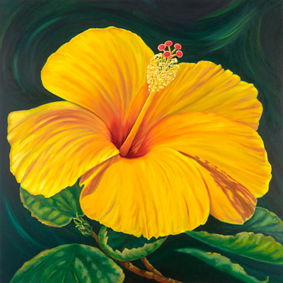 Yellow Hibiscus