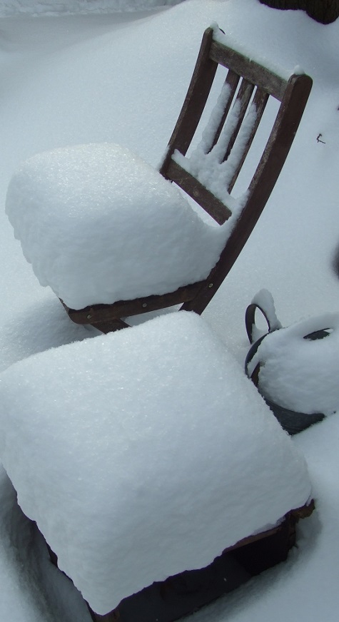 ZP_Snowfall_Toronto Canada December 15th 2013_A