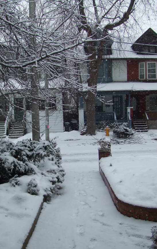 Life can be Bonito y Sabroso even though we feel those Winter Blues...if we can meet up on Genuine Street.