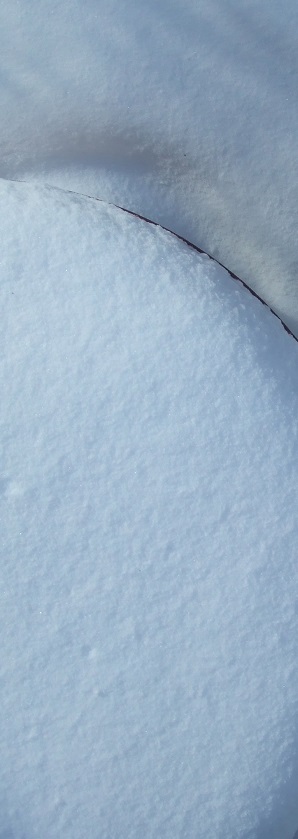 ZP_January 27th 2014 C