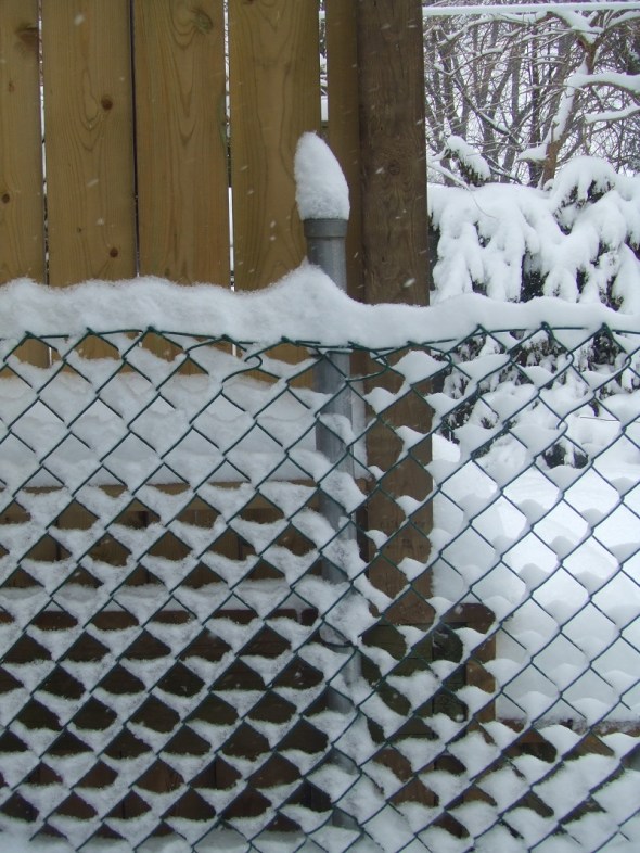 Mid March in Toronto B