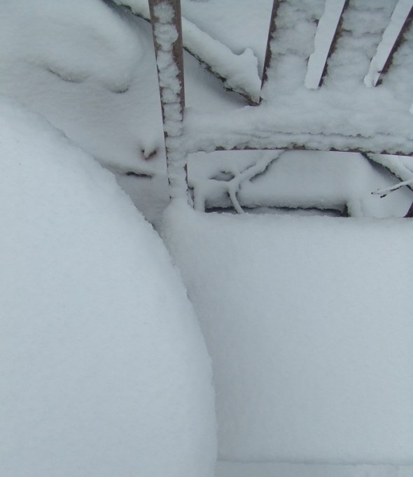 Mid March in Toronto D