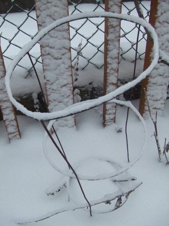 Mid March in Toronto E