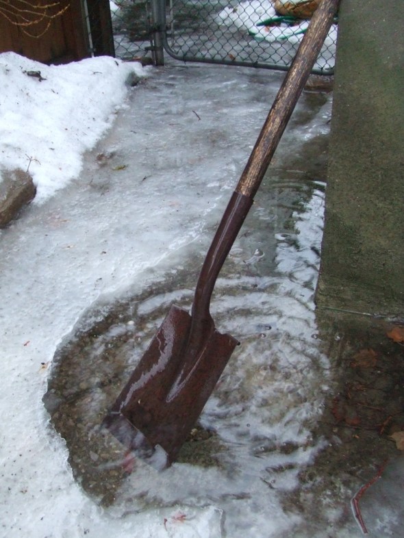 Toronto Canada 2014_Haiku harusamu