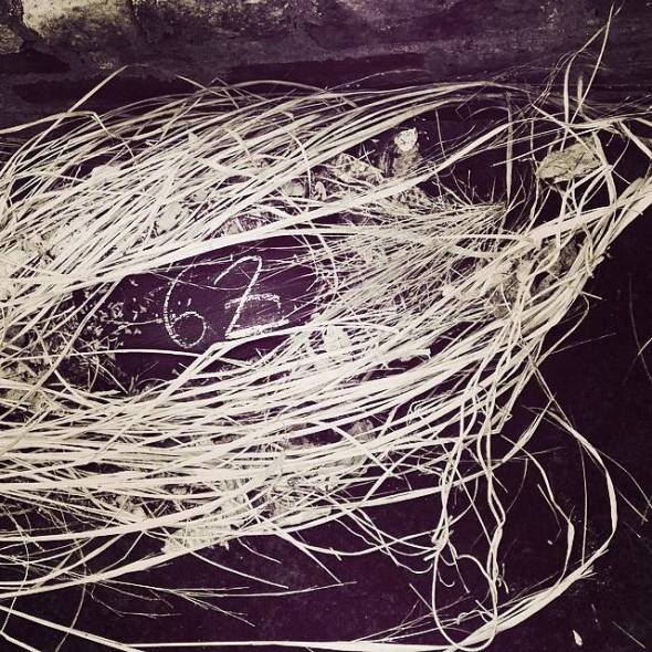 Wangechi Mutu_Day 62_Rwanda Genocide 20th anniversary