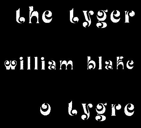 O Tygre_title_Augusto de Campos translation of the William Blake poem