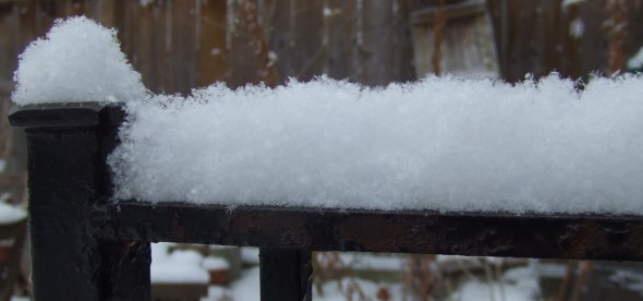Toronto fresh snowfall_December 2013
