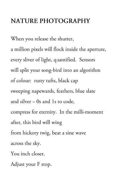 Zocalo Poets - NATURE PHOTOGRAPHY - Laboni Islam