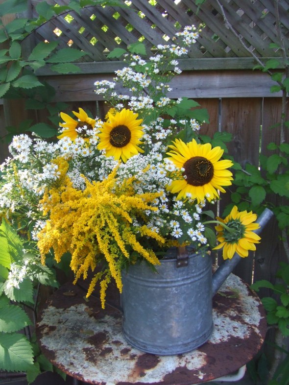 An End of Summer bouquet in a watering can_Goldenrod_Asters_Sunflowers_09.2014
