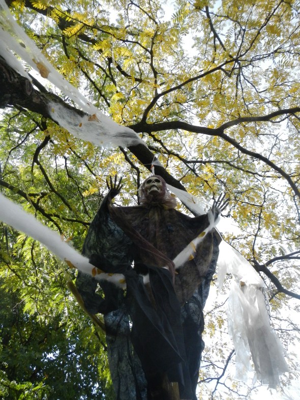 27_10_2014_Halloween en Toronto