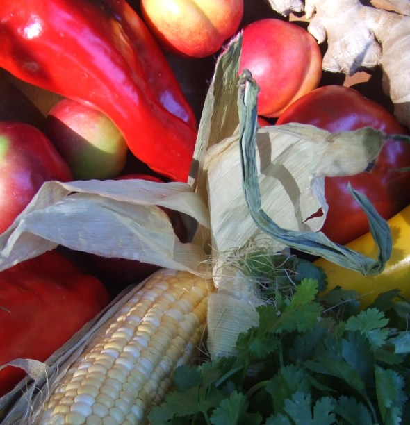 Damos Gracias por La Bondad de la Tierra