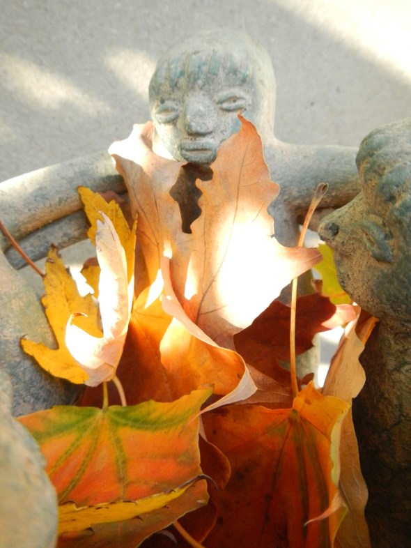 El Círculo de Amigos en Toronto_Otoño de 2014