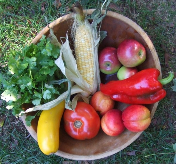 La Bondad de Esta Tierra