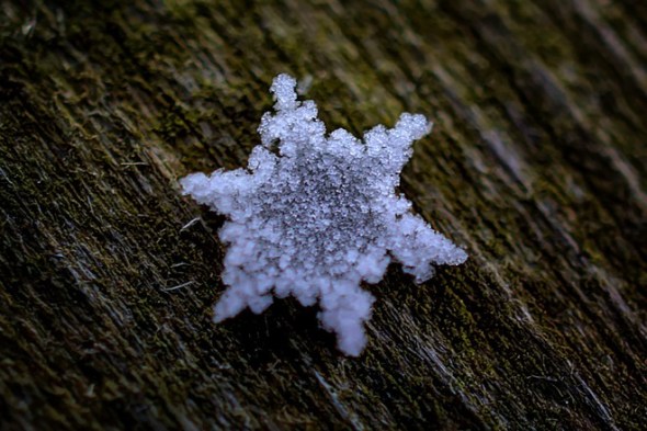 Macro-photograph of a snowflake_taken on November 25th 2014
