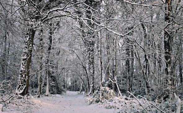 Winter Solstice_photograph by Hakukamizaki