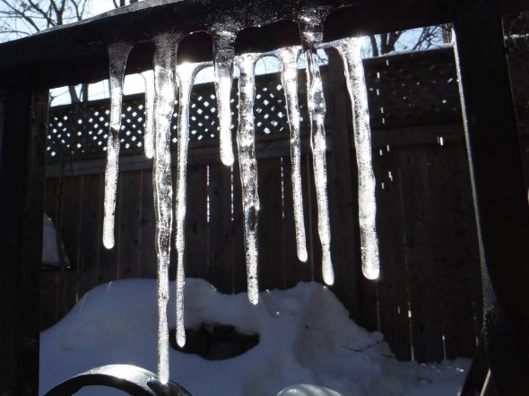 March 5th 2015_Icicles_Riverdale Toronto Canada