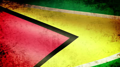 Guyana flag...somewhat scuffed up...