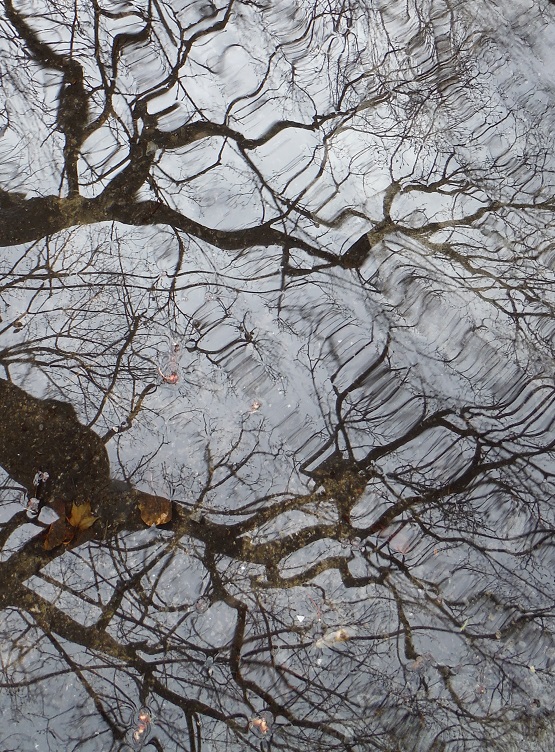 Water water every where...And all the boards did shrink. Water water every where...Nor any drop to drink_Samuel Taylor Coleridge