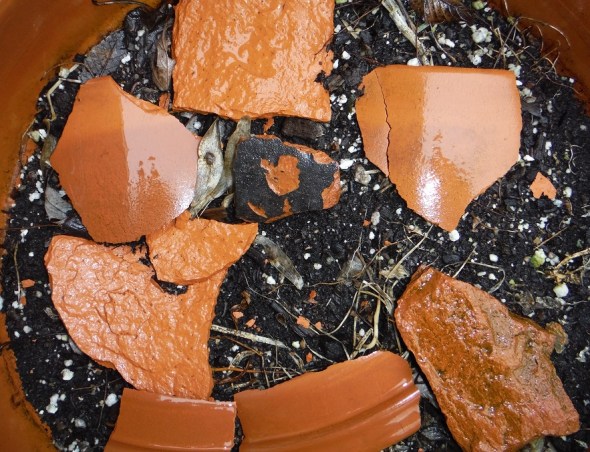 Clay shards in a flowerpot_January 2016_Toronto
