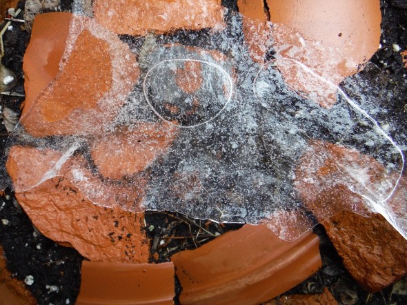 Flowerpot shards and ice B_January 28th 2016_Toronto