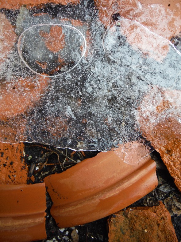 Flowerpot shards and ice C_January 28th 2016_Toronto