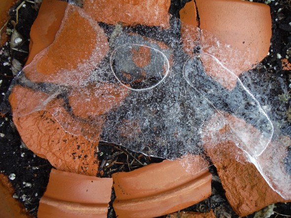 Flowerpot shards and ice D_January 28th 2016_Toronto