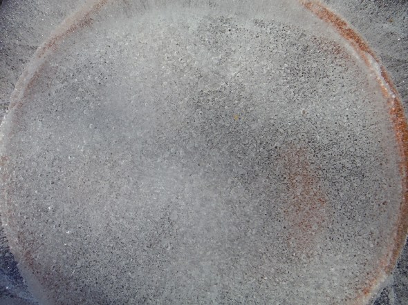 Ice flower 2_Toronto_January 4th 2016