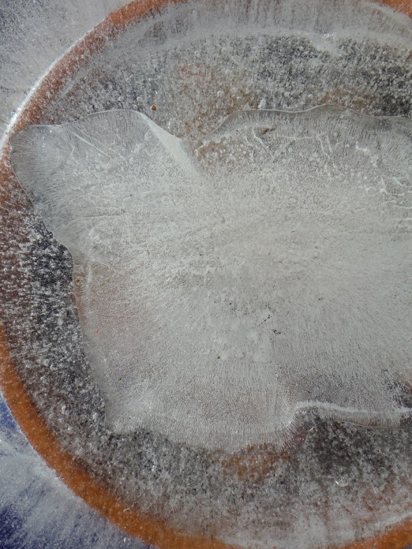 Ice flower 7_Toronto_January 2016