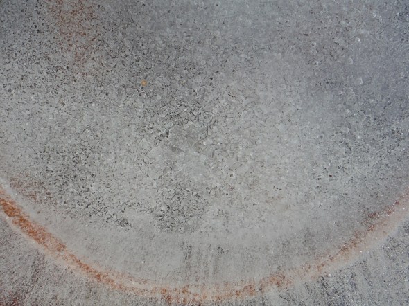 Ice flower_Toronto_January 4th 2016