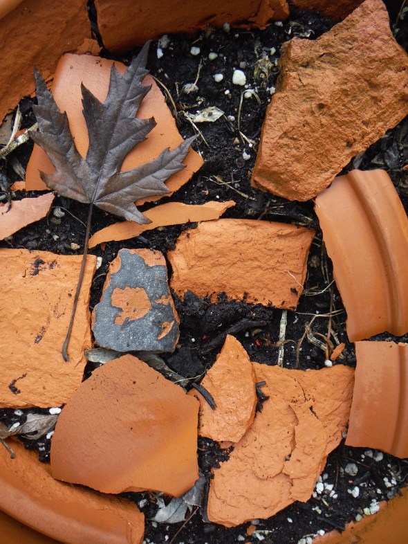 Flowerpot shards_February 2016