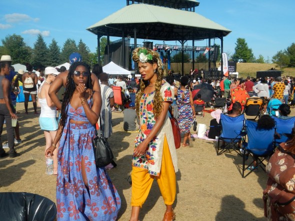 AfroFest 7